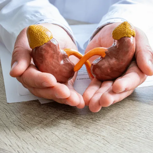 Especialista en Infección Urinaria en León