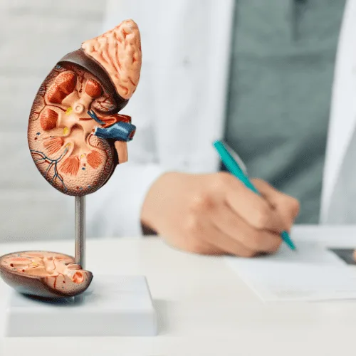 Especialista en Problemas de Próstata en León